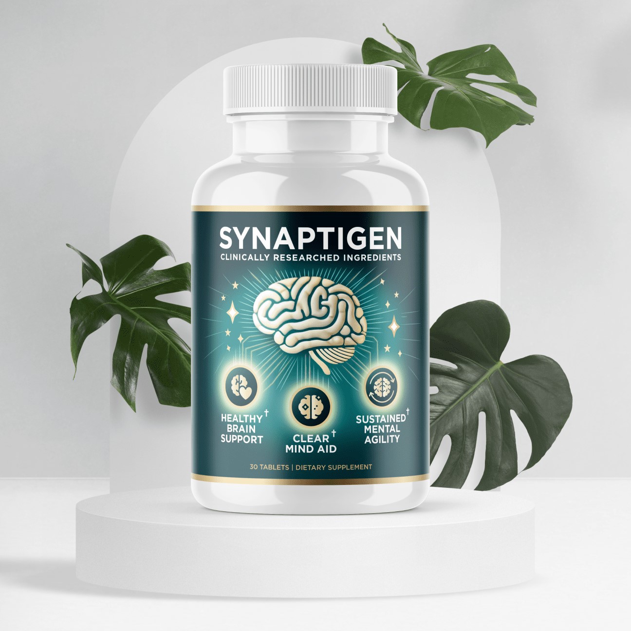 Synaptigen - Brain Support Supplement